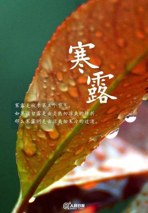 今天迎寒露未来三天气温回升,昼夜温差大