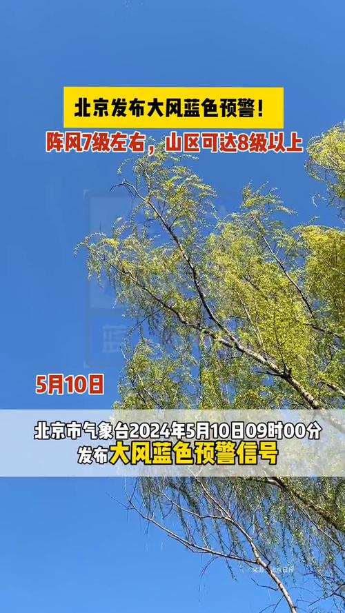北京市顺义区发布大风蓝色预警_2