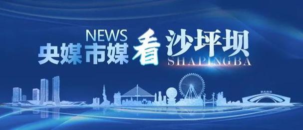 重庆沙坪坝区制定服务青年发展措施 全力打造“青春之城”