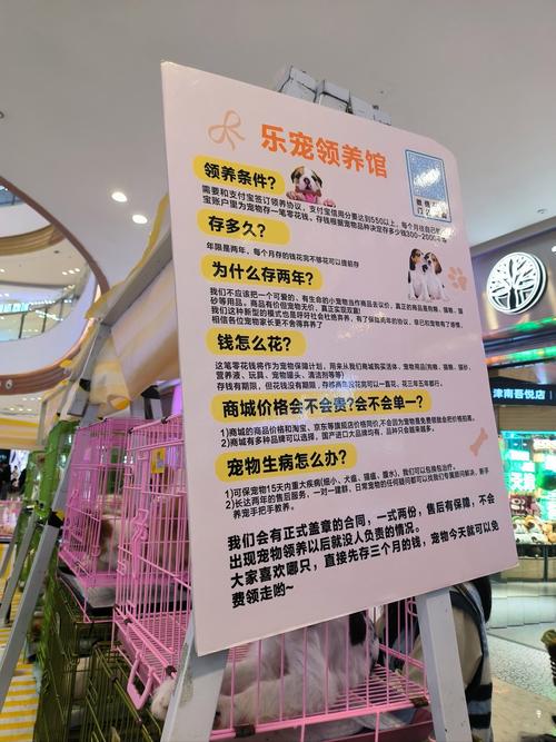 宠物虚弱多病死亡也无法终止合同 签订协议每月固定消费商品质量差单价高“免费领养”宠物的套路也太多了