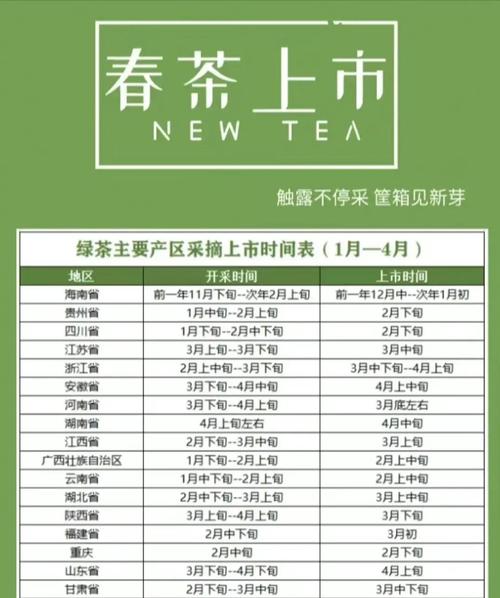 春暖茶香 全国多个茶叶主产区进入采摘期
