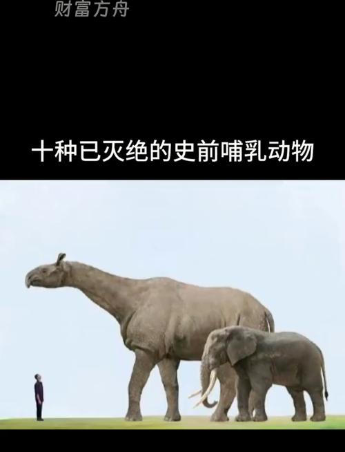 大部分哺乳动物体型雄性比雌性大?国际最新研究称是偏见造成误解