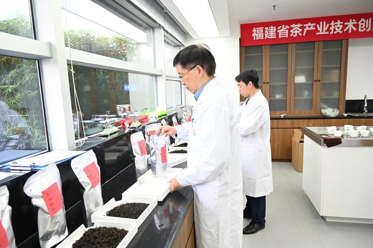 福建省首届新式茶饮产销衔接活动举办