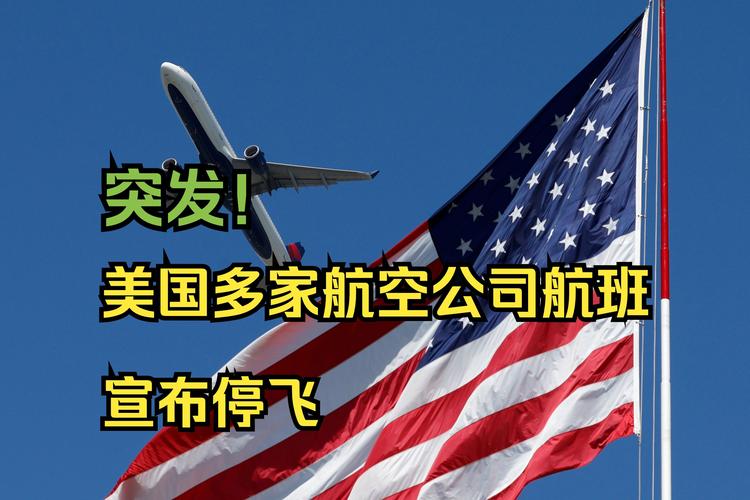突发!全球多航司停飞