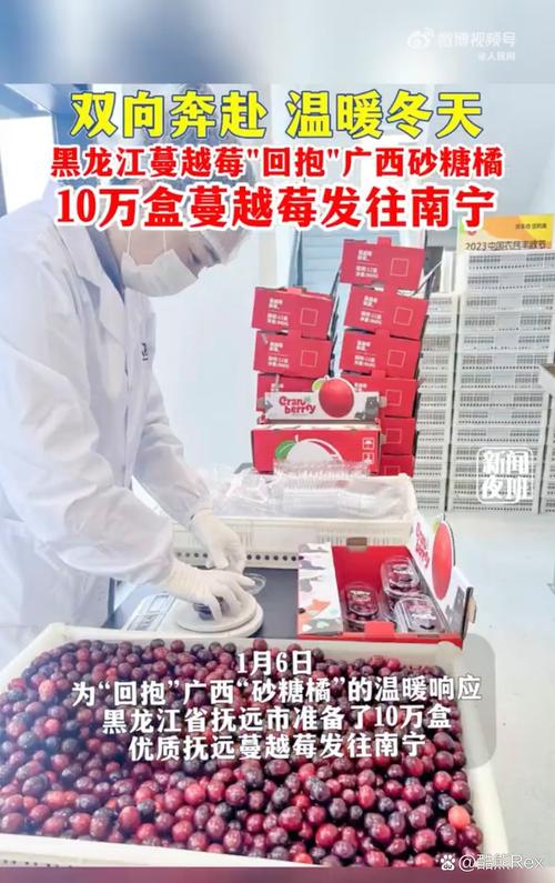 黑龙江10万盒蔓越莓“回抱”广西“老表”