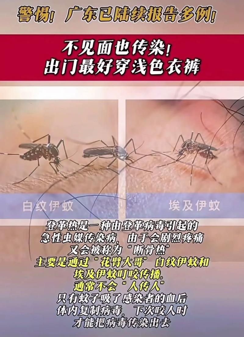 秘鲁今年前6周超1.8万人确诊登革热 已致10人死亡