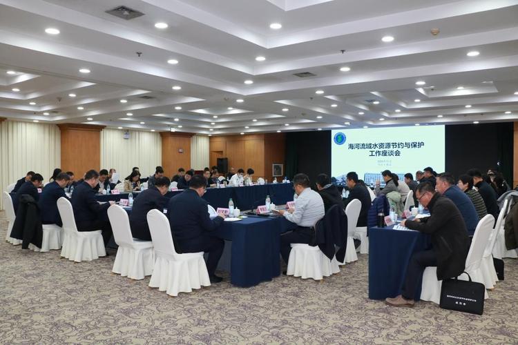 海河水利委员会召开海河流域防洪规划修编座谈会及专家咨询会