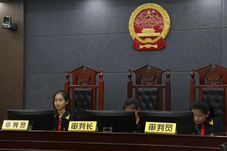 近48万人观看!长沙中院迎来“小法官”沉浸式“探班”