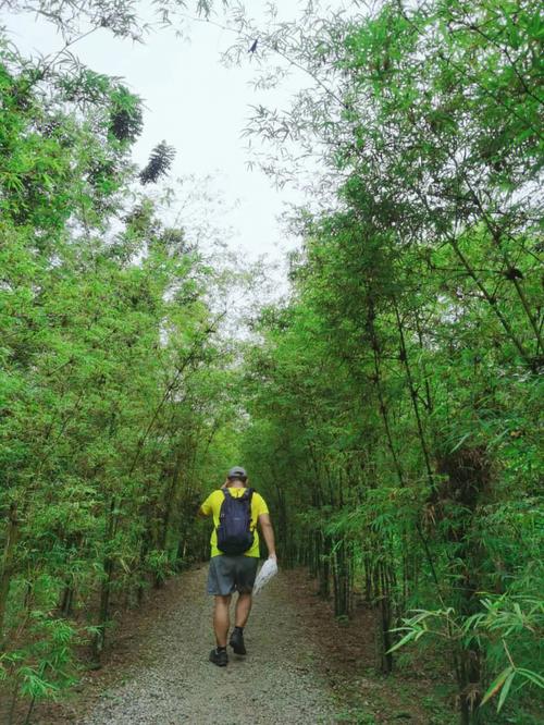 长宁·蜀南竹海半马开跑 万名跑友穿越“竹林隧道”