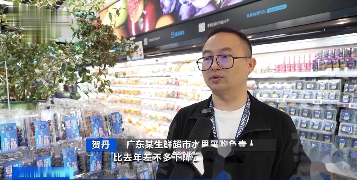 蓝莓降价!比去年便宜将近20%