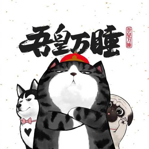专访漫画家白茶:以“喵星人”为媒传递治愈与欢乐