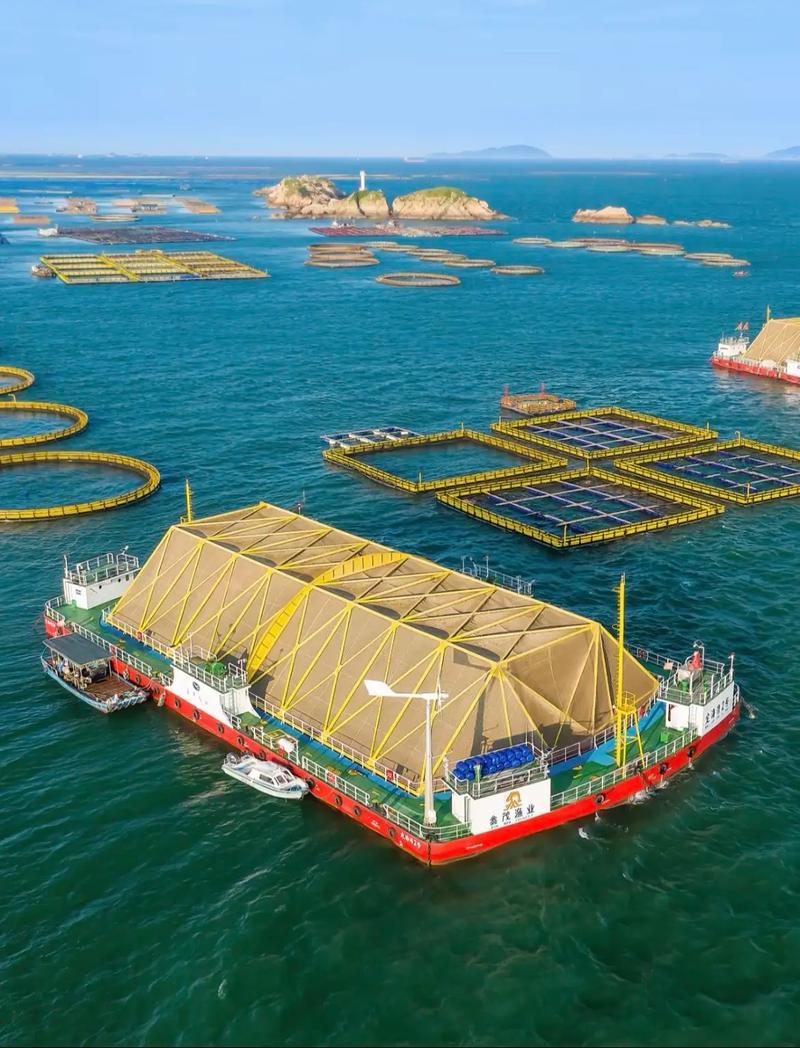 (聚焦中国高质量发展)“浙东黄金港湾”涌出条条“大黄鱼”