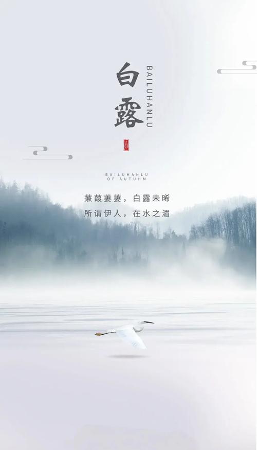 白露节气：袅袅凉风动 天清白露生
