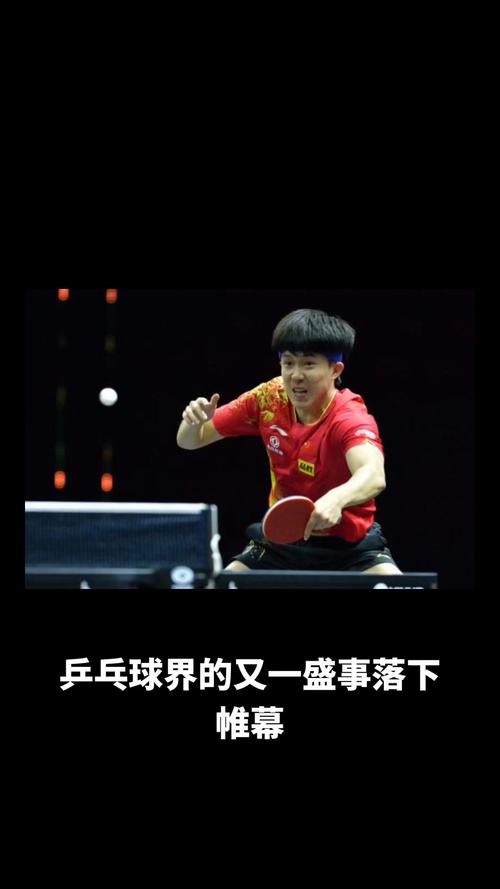 王楚钦夺冠后发文:中国乒乓球队yyds!