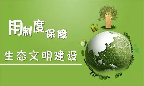 表委员履职故事|全国人大代表李丽丽:推动污水处理更绿色低碳 助力可持续发展