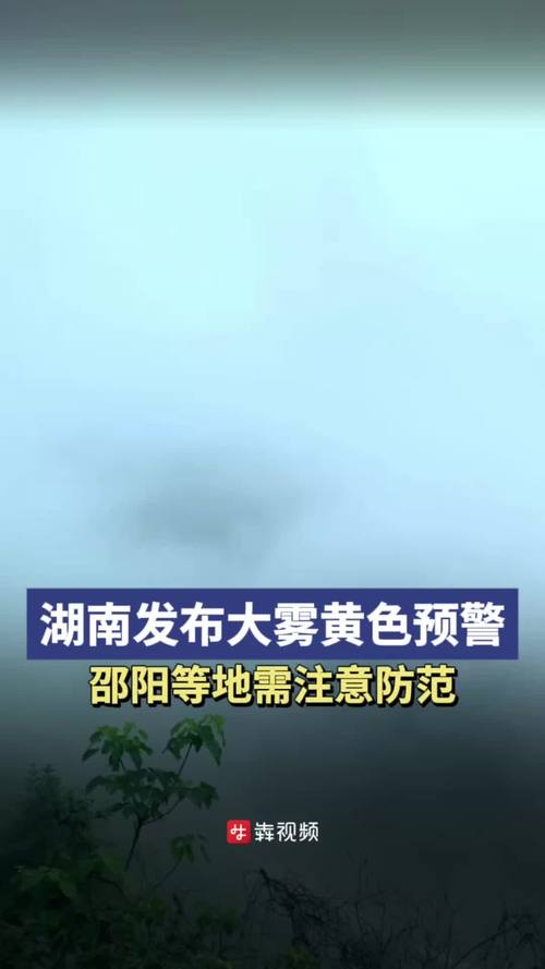 湖南省新化县发布大雾黄色预警_2
