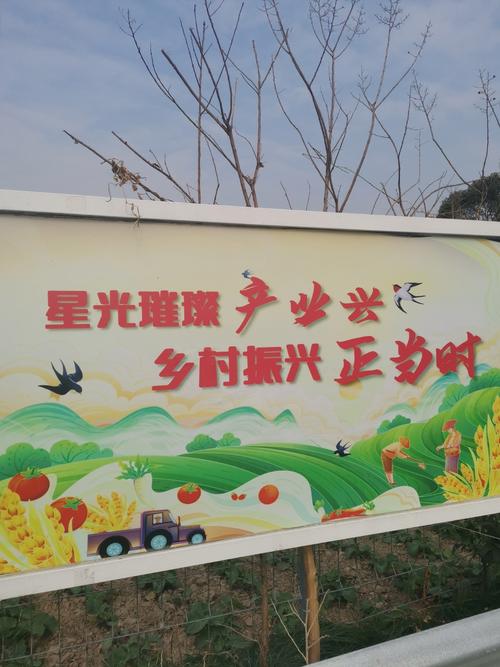 (乡村行·看振兴)以果为媒以旅兴农 南昌青山湖绘就民富村美画卷