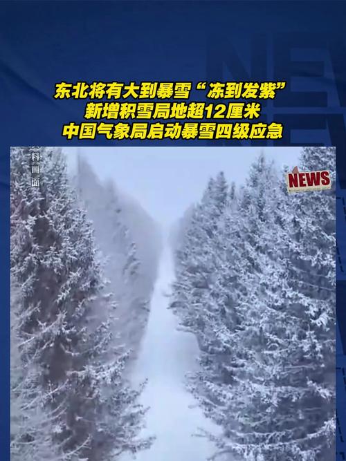 黑龙江:“大雪首日”局部大雪 大兴安岭北部最高温-21℃