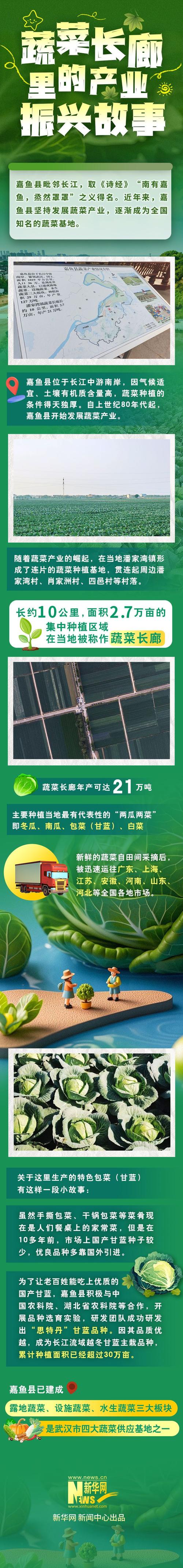 链博会小词典丨食物如何从田头到餐桌?绿色农业“链”起来
