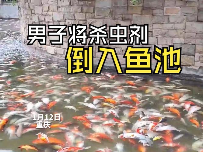 重庆警方通报公园大量观赏鱼死亡案 向鱼池倒杀虫剂男子已被刑拘