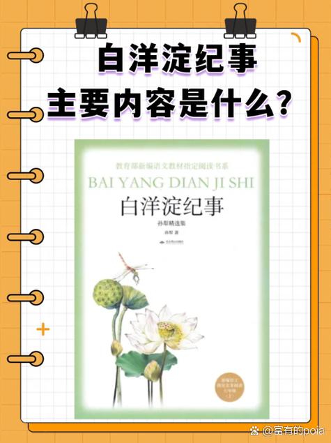 白洋淀上|书香里的雄安