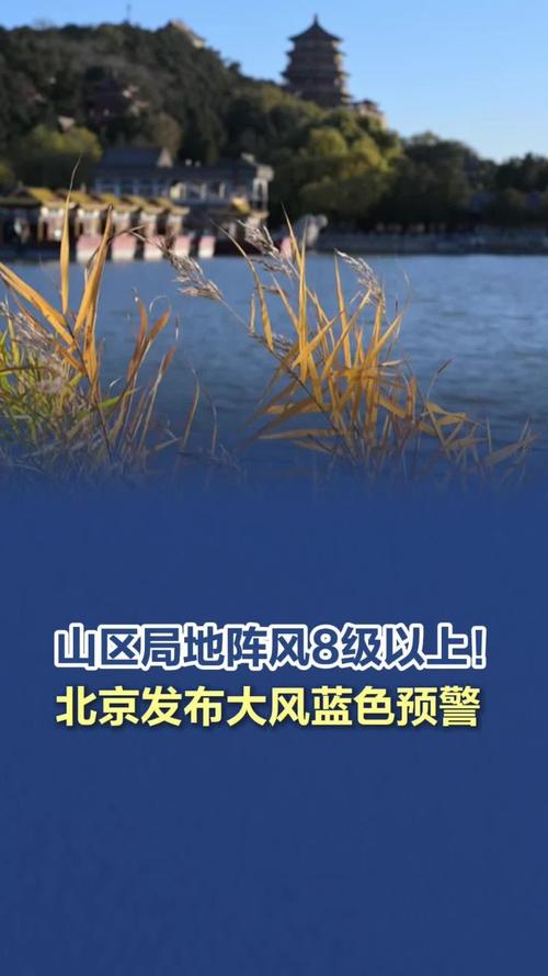 大风蓝色预警:北京河北内蒙古等7省区市部分地区有7至8级阵风