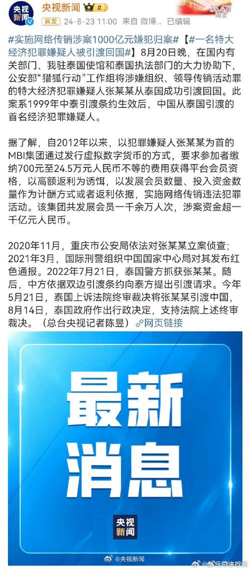 一宗以国家项目为名的网络传销案