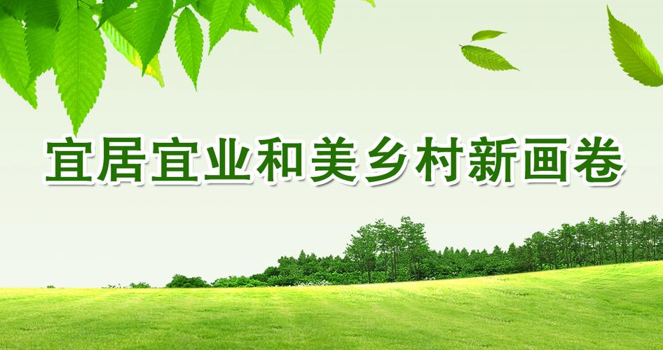 (乡村行·看振兴)集体经济“各美其美” 浙江遂昌绘就乡村“美美与共”画卷