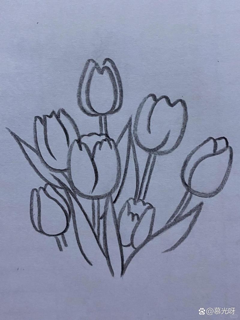 “一束花”让美术类考生“犯了难”