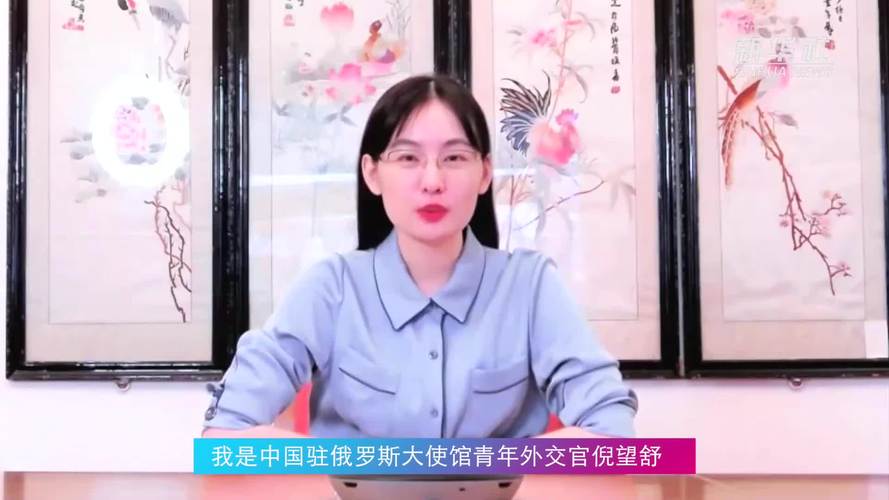 安理会的那些事儿 听中国青年外交官给你说说