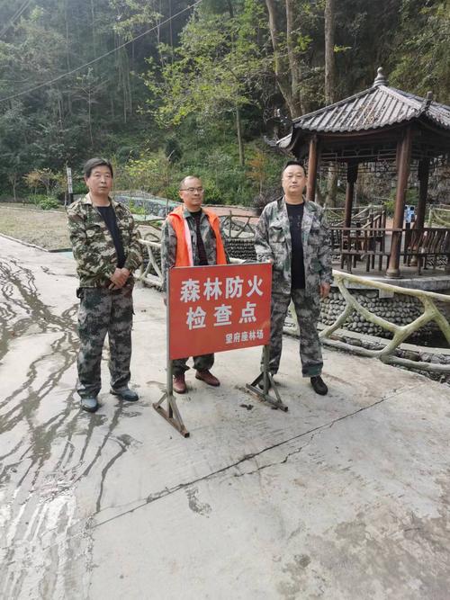 广东严防清明森林火灾 逾3万名护林员加强巡查