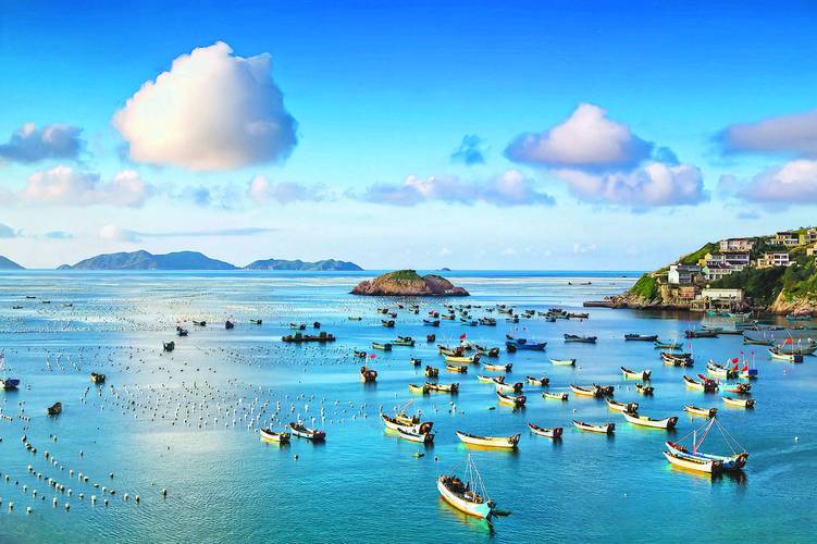 大海岂是天然垃圾场浙江岱山:推动每年减少100余万节废旧电池入海