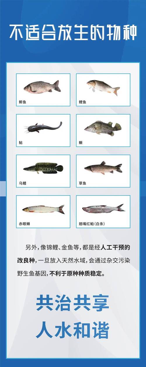 赤水河“蝶变”——云南镇雄多措并举保护鱼类多样性