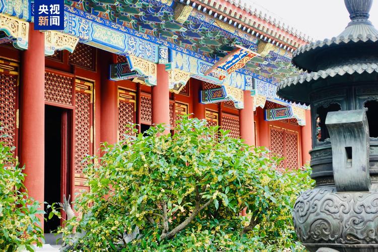 颐和园、天坛……中秋三天 哪个才是北京“顶流园子”?