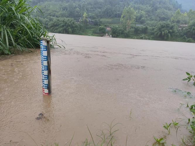 重庆市酉阳土家族苗族自治县发布暴雨黄色预警_1