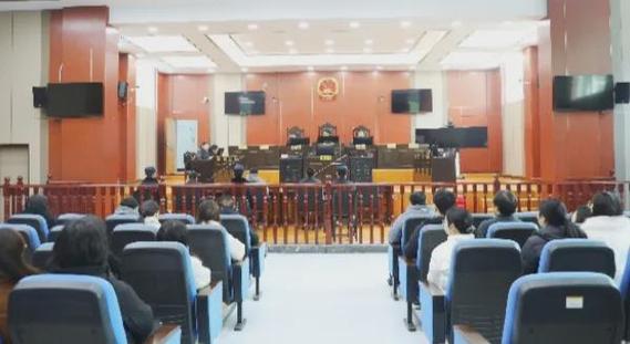 非法收购、出售国家保护野生动物湖南一被告人破坏环境资源获刑并承担赔偿