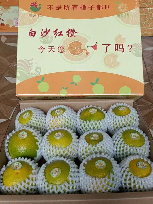 海南白沙红橙迎来上市季