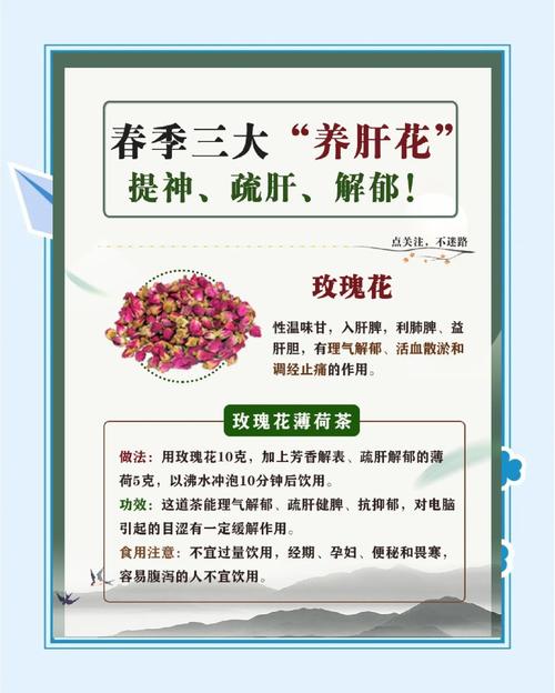 肝不好人先老,三种花茶,疏肝理气,养护容颜更年轻~
