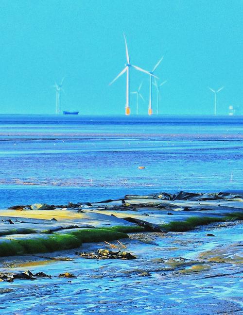 江苏盐城:点“绿”成金 绘就生态文明新画卷