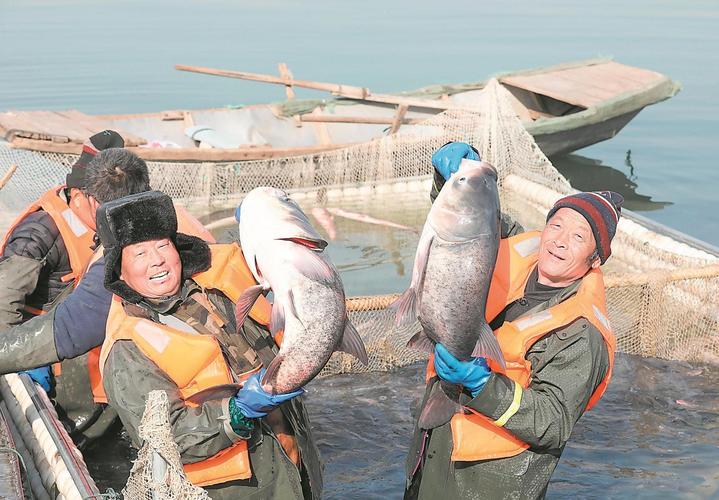 鱼跃人欢庆丰收 浙江德清下渚湖千人共享鱼汤饭