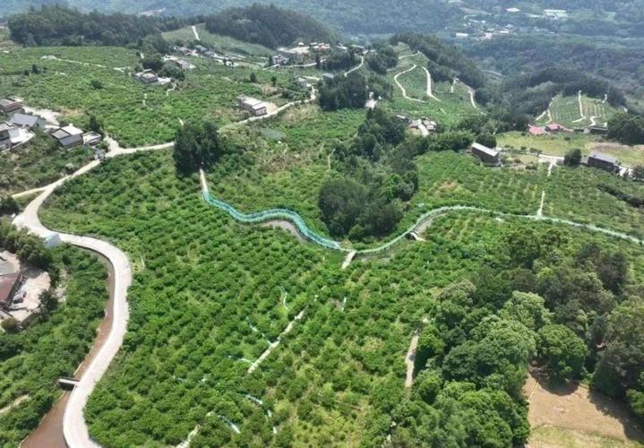 (新春走基层)乡村振兴:广东清远上帅镇的绿色发展成色足