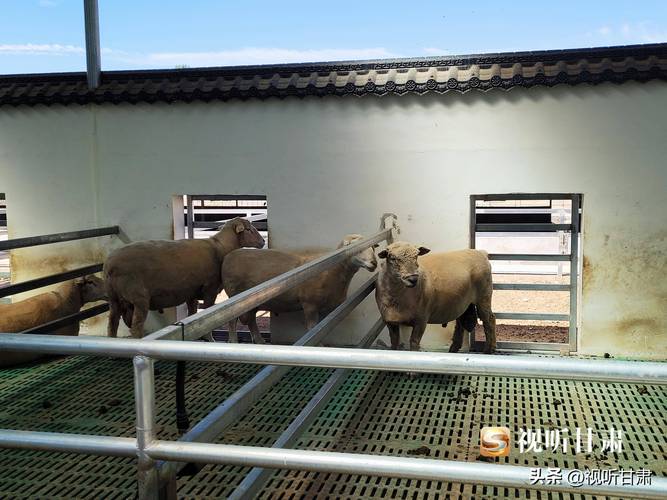 辽宁“育肥”县域特色产业