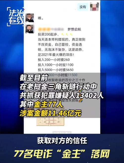 诈骗“帮凶”全部落网