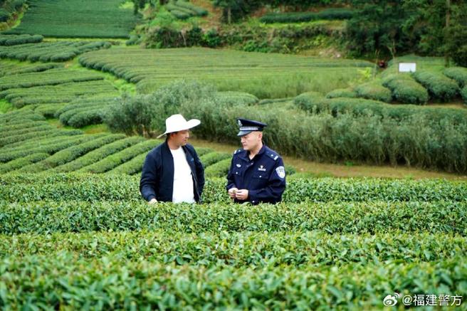 花垣交警茶园“话安全” 全力护航采茶季