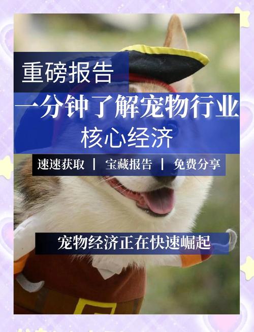 “带娃式”养宠渐成主流 细分需求为中国宠物经济增值