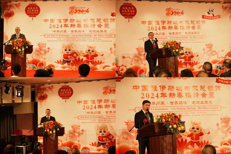 祝福中国年 我驻多国大使馆举办春节招待会