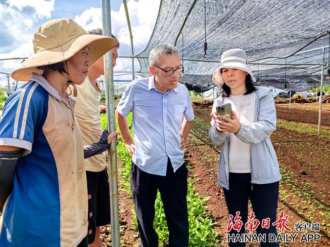 海口市美兰区“田教授”农作“医护团”助力灾后复工复产