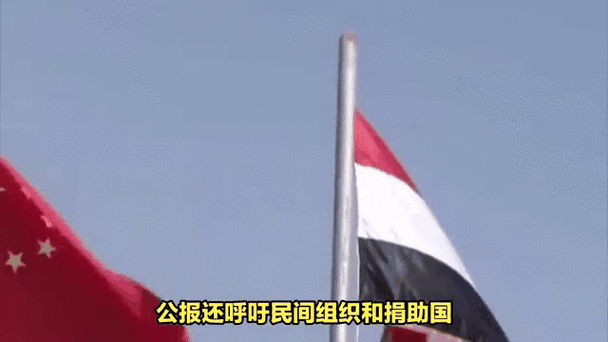 联合国安理会:苏丹快速支援部队袭击维和人员或构成战争罪