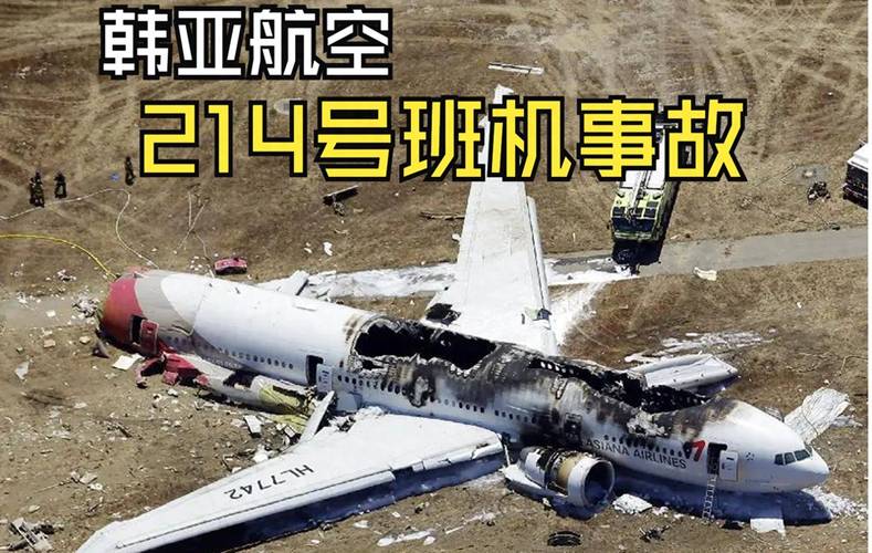 除2人外,179人恐全部遇难!韩国客机事故因跑道太短?起落架故障?7人专家小组前往调查