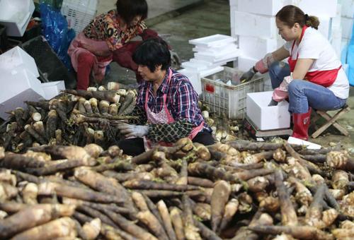 (新春走基层)湖南东安土特产搭乘电商“快车”畅销全国